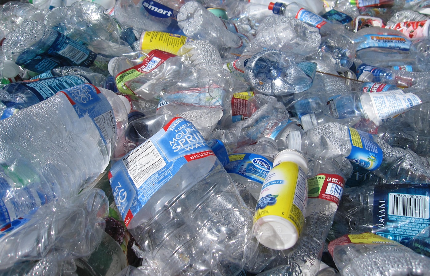 Emballage durable : les alternatives qui séduisent les industriels en 2026